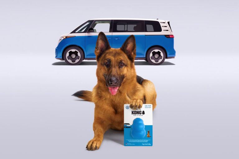 Volkswagen to sell the world’s most famous dog toy: The story is insane